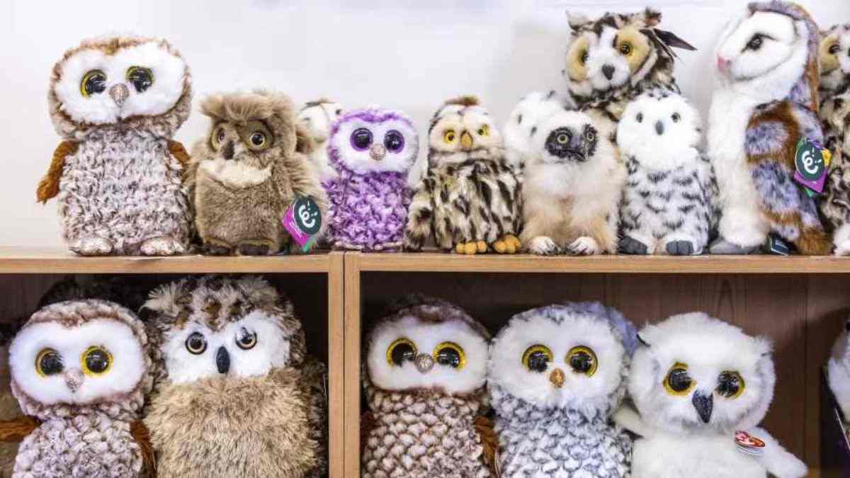 Optical Illusion: You are a genius if you can spot the real owl in 5 seconds